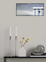gulls loft Poster och Canvastavla