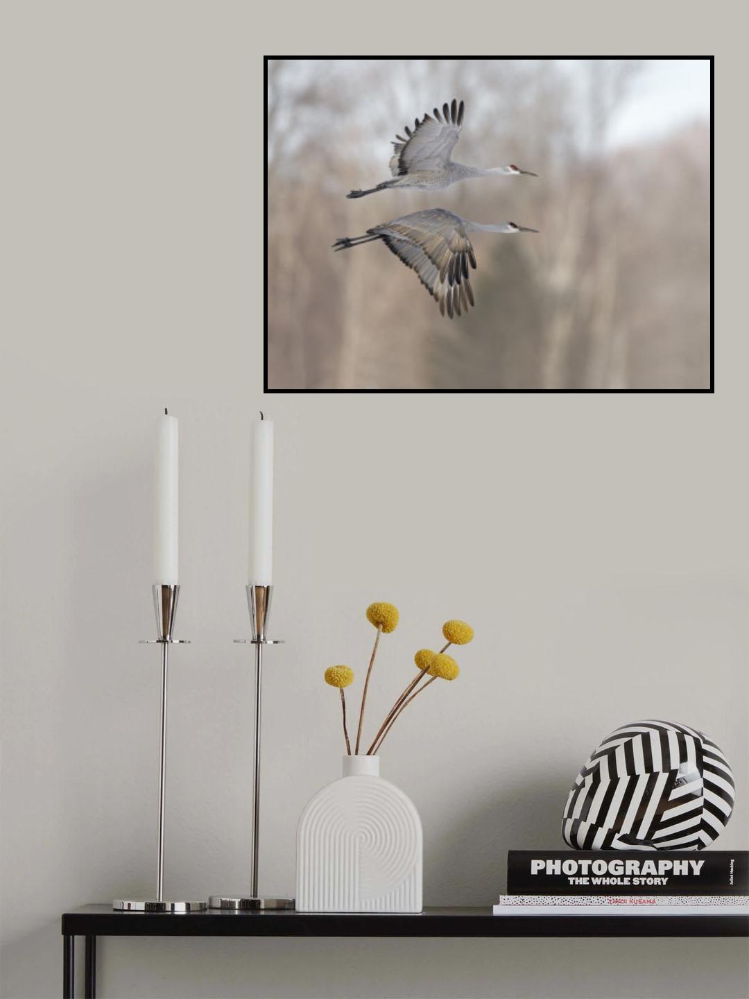 Twin flying cranes Poster och Canvastavla