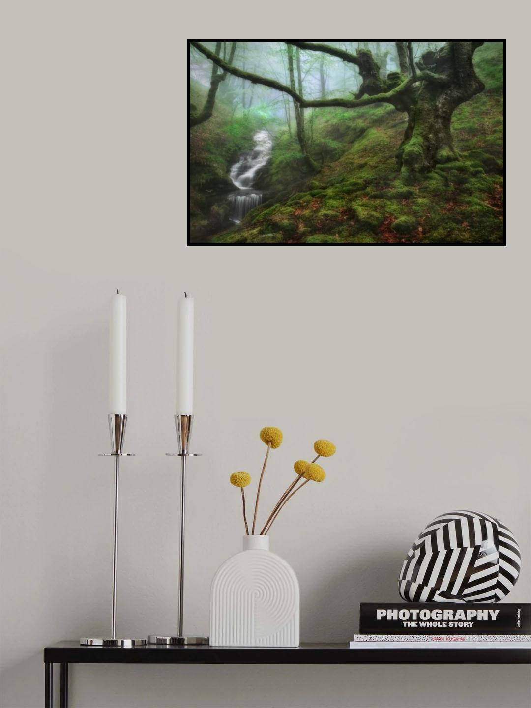 The Enchanted Forest Poster och Canvastavla