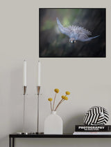 Deep diving..... Poster och Canvastavla