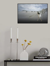 Catch of the day II Poster och Canvastavla
