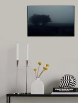 . . Poster och Canvastavla
