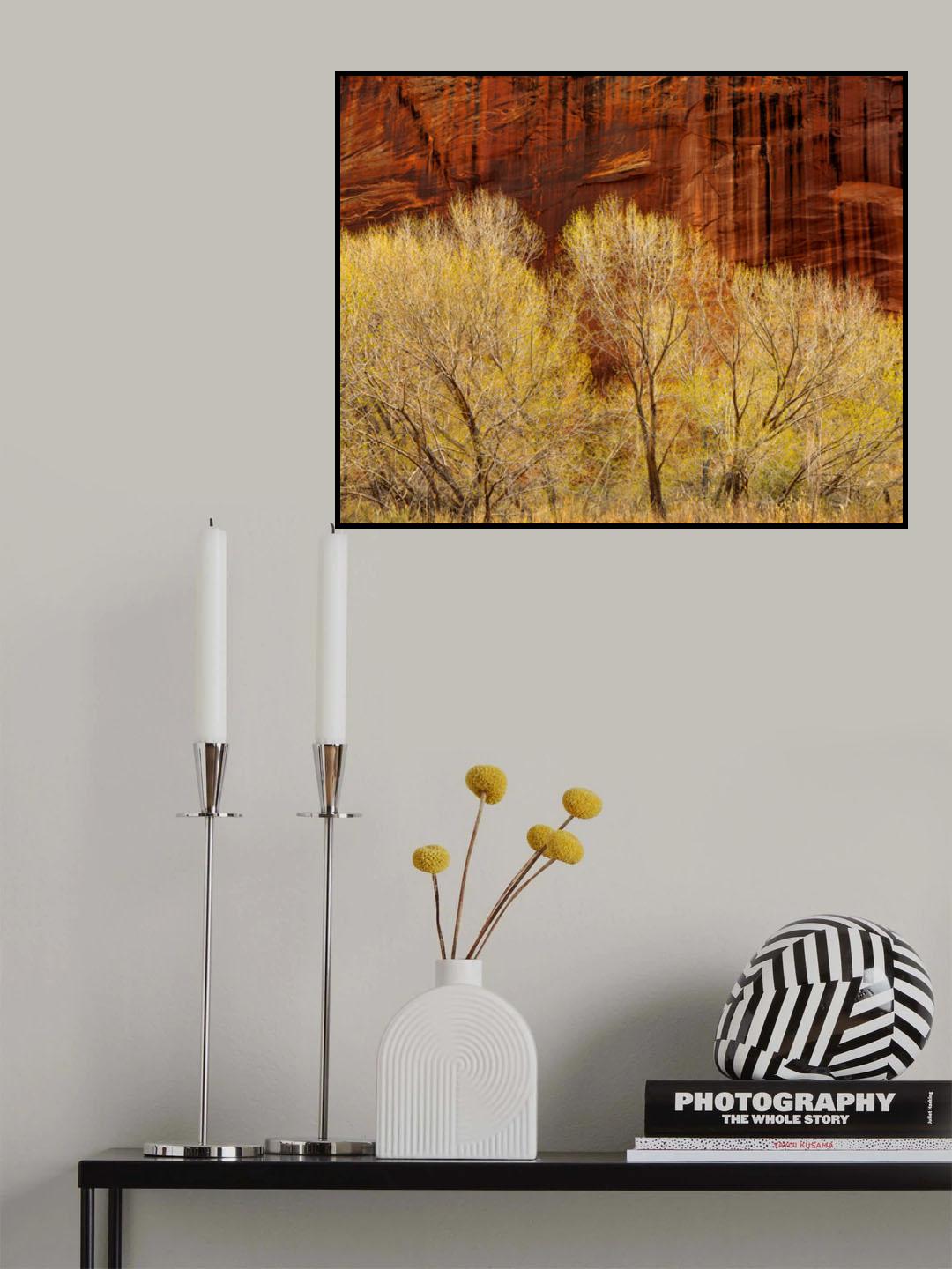 Spring Poster och Canvastavla