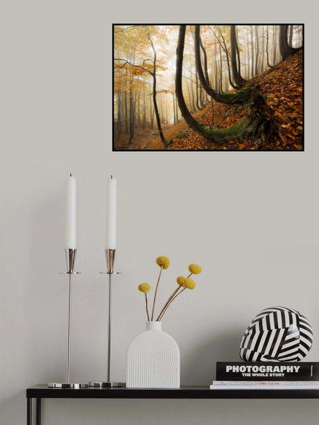 Mystic Autumn Forest Poster och Canvastavla