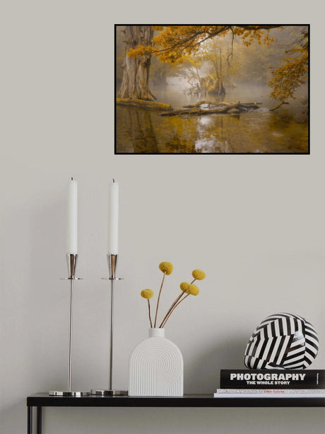 Alone in the swamp Poster och Canvastavla