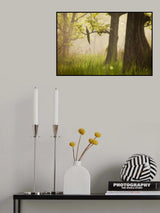 Peacock Poster och Canvastavla