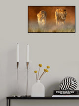 Fade-in Poster och Canvastavla