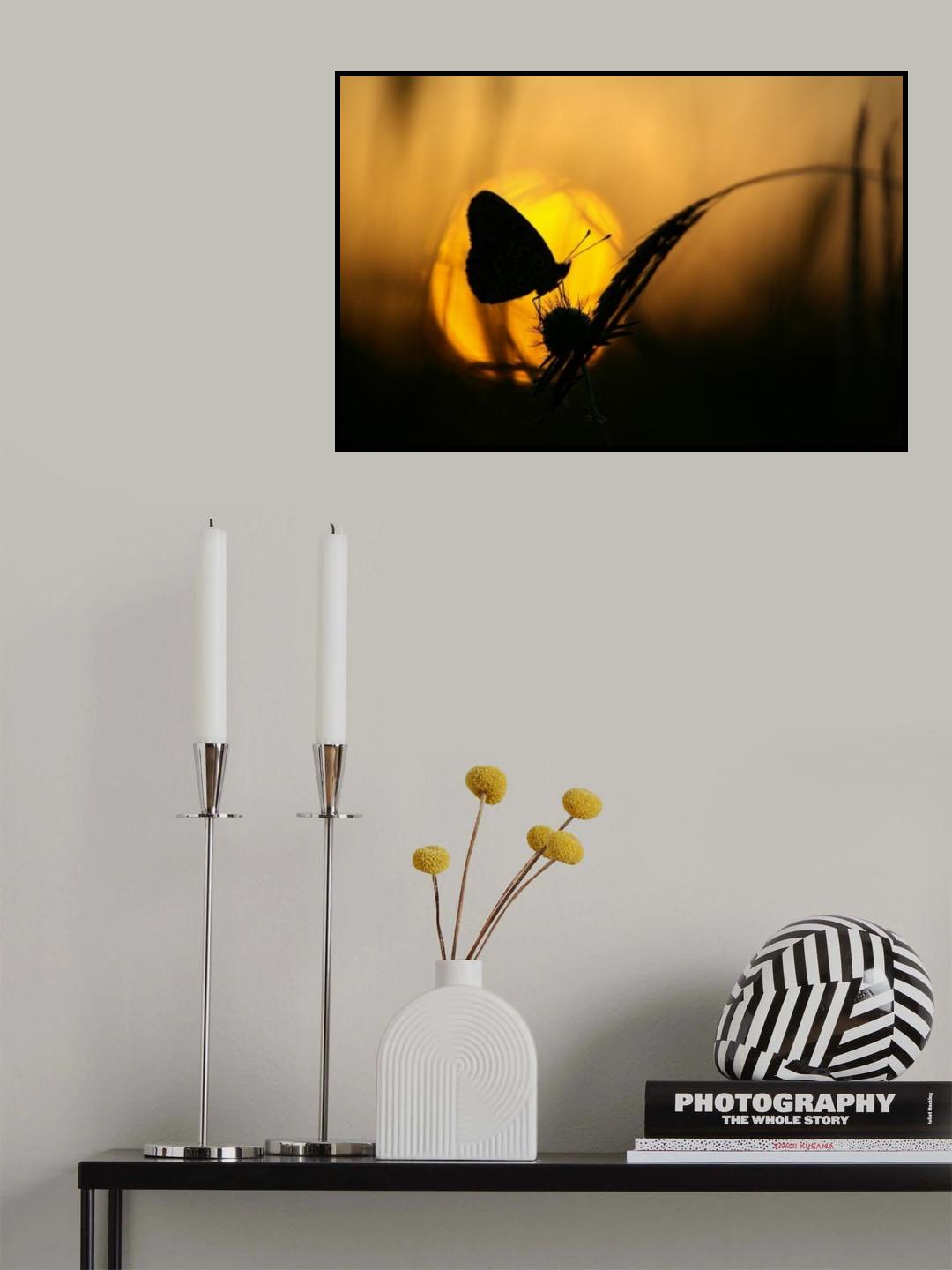 August Poster och Canvastavla