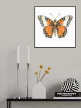 Butterfly 47 Poster och Canvastavla