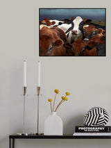 Laughing Cow Poster och Canvastavla