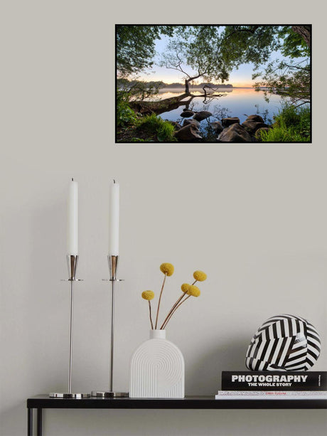 Lake view Poster och Canvastavla