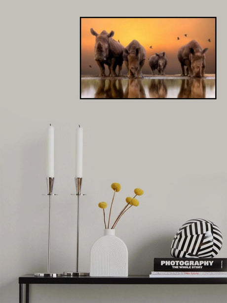 Rhinos by the water..... Poster och Canvastavla
