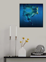 Symphony Poster och Canvastavla