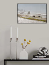 Winter gaze Poster och Canvastavla