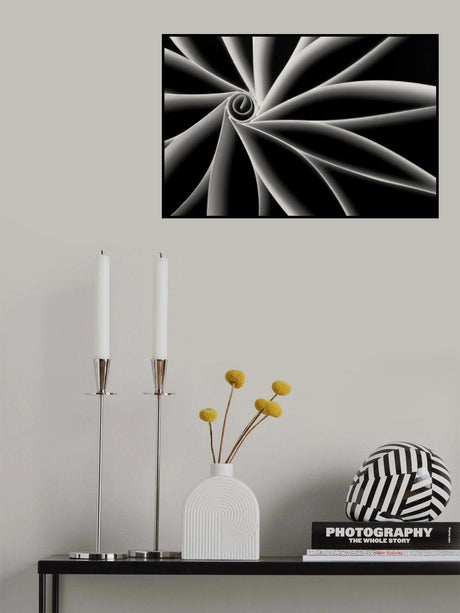 Curves Poster och Canvastavla