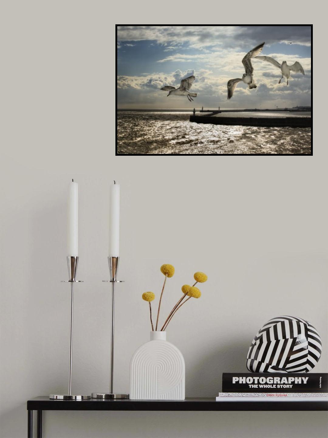 Flying above Dover Poster och Canvastavla