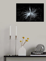 Spring Dance Poster och Canvastavla