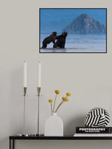 Water fight2 Poster och Canvastavla