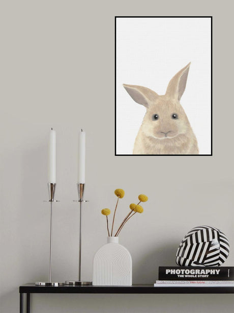Rabbit Poster och Canvastavla