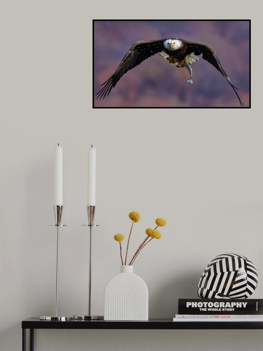 Bomber Poster och Canvastavla
