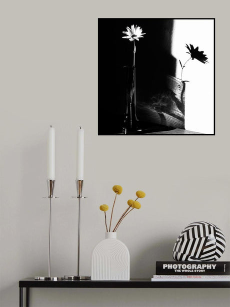 light and shadow Poster och Canvastavla