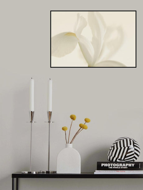 White Iris Flower Close Up Poster och Canvastavla
