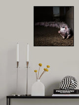 Feel that sun.... Poster och Canvastavla