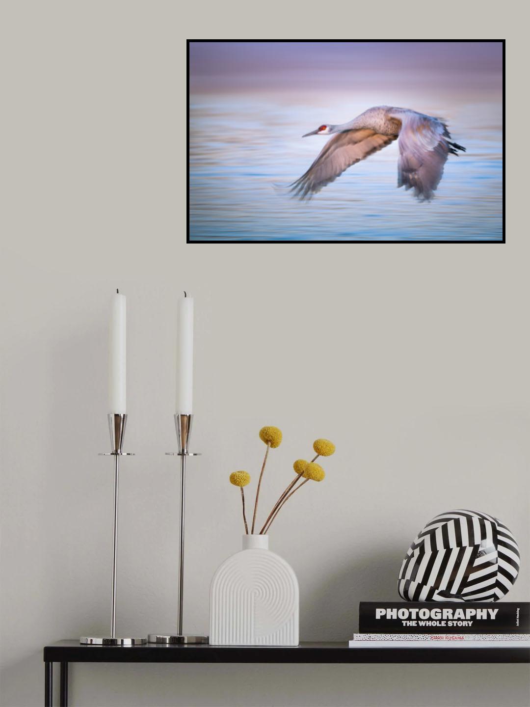 Elegant Flight Poster och Canvastavla