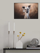 Distinguished gentleman Poster och Canvastavla