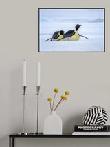 Moving on Ice Poster och Canvastavla