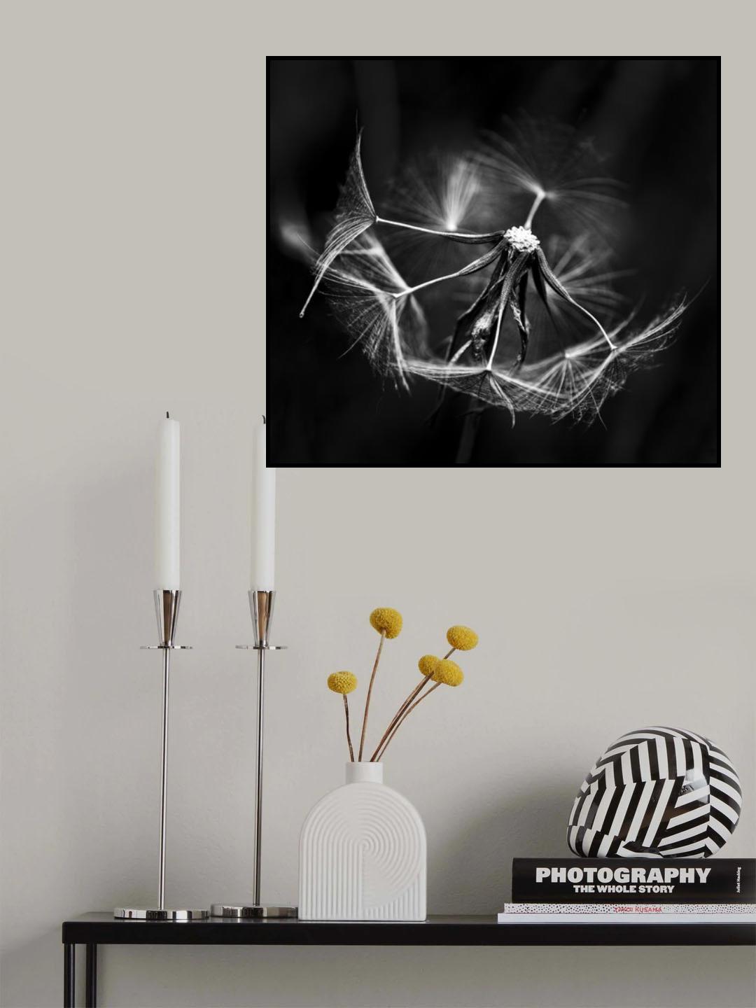 Transiency Poster och Canvastavla