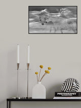 glamour Poster och Canvastavla