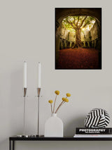 "Muckross Abbey - Tree of Life" Poster och Canvastavla