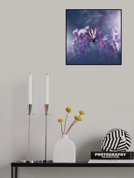 Lavender Queen... Poster och Canvastavla