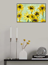Suflowers By Jam Poster och Canvastavla