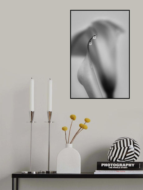 Two Drops Poster och Canvastavla