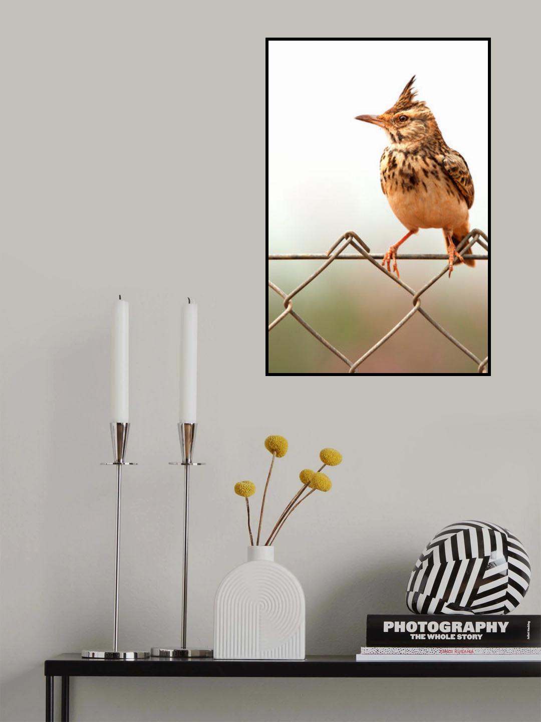 Poster och Canvastavla
