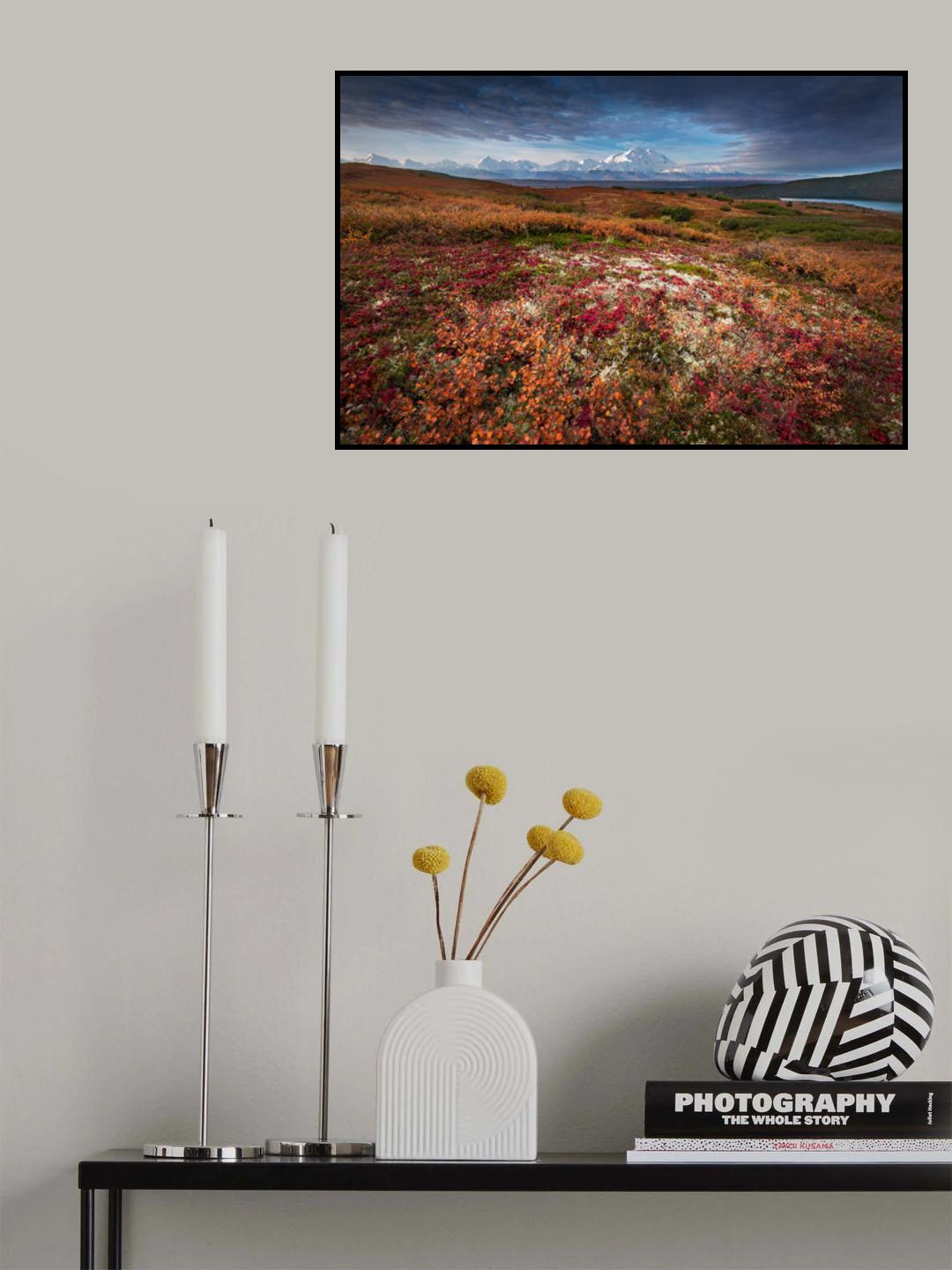 Denali in Fall color at sunrise, captuerd near Wonder Lake Camping Ground Poster och Canvastavla