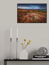Denali in Fall color at sunrise, captuerd near Wonder Lake Camping Ground Poster och Canvastavla