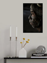 Konyak elder, Nagaland, India Poster och Canvastavla