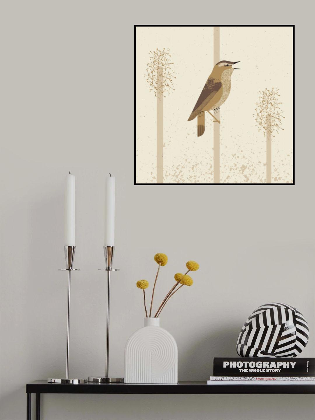 Sedge Warbler Poster och Canvastavla