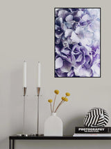 Lovely Hydrangea Poster och Canvastavla