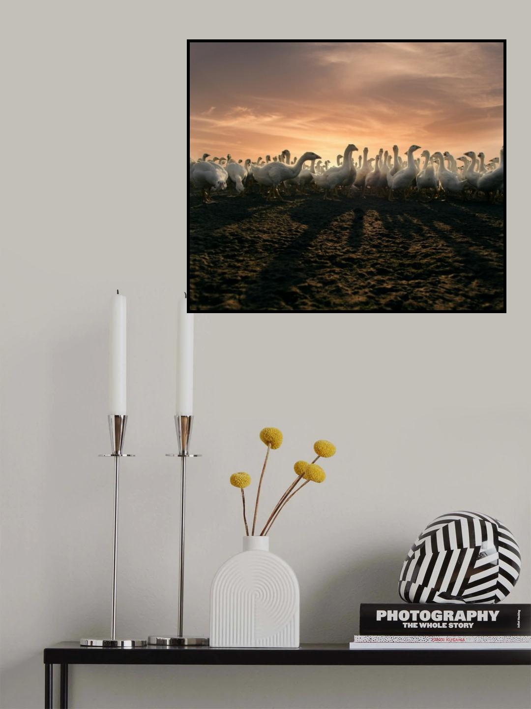 Goose party！ Poster och Canvastavla