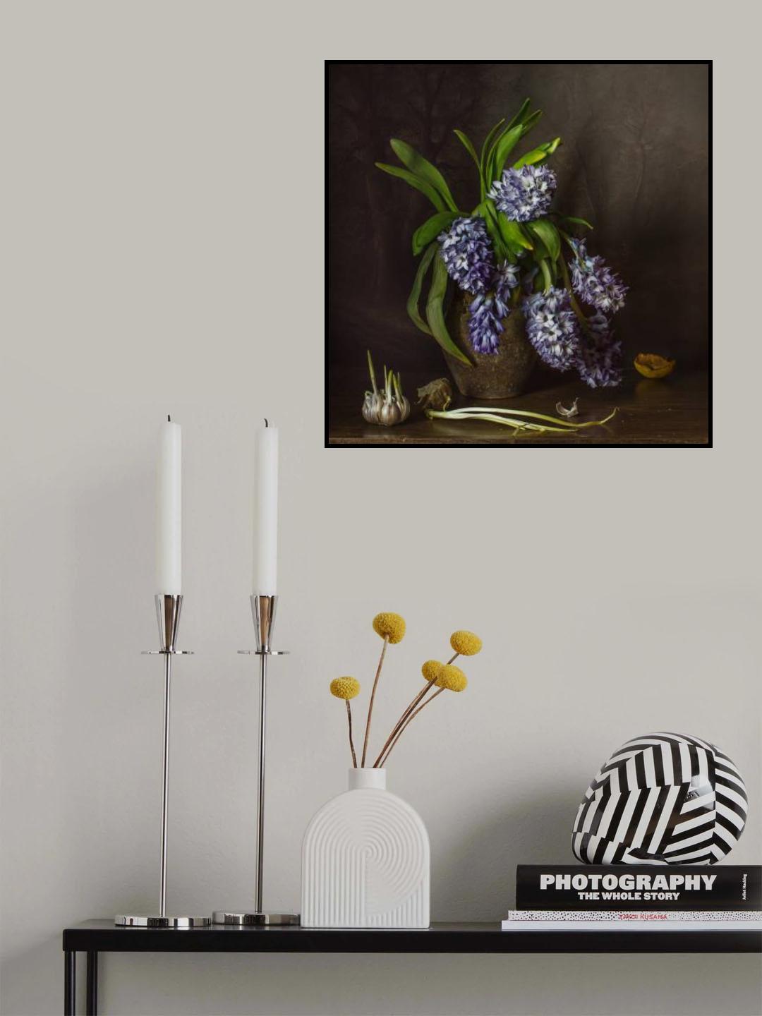 Hyacinths Poster och Canvastavla