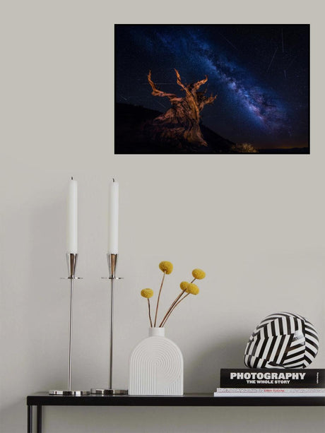 Shooting Stars Night Poster och Canvastavla