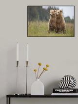 Standing Tall Poster och Canvastavla