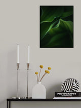 Bonding Poster och Canvastavla