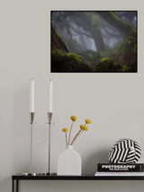 Harenna Forest Poster och Canvastavla