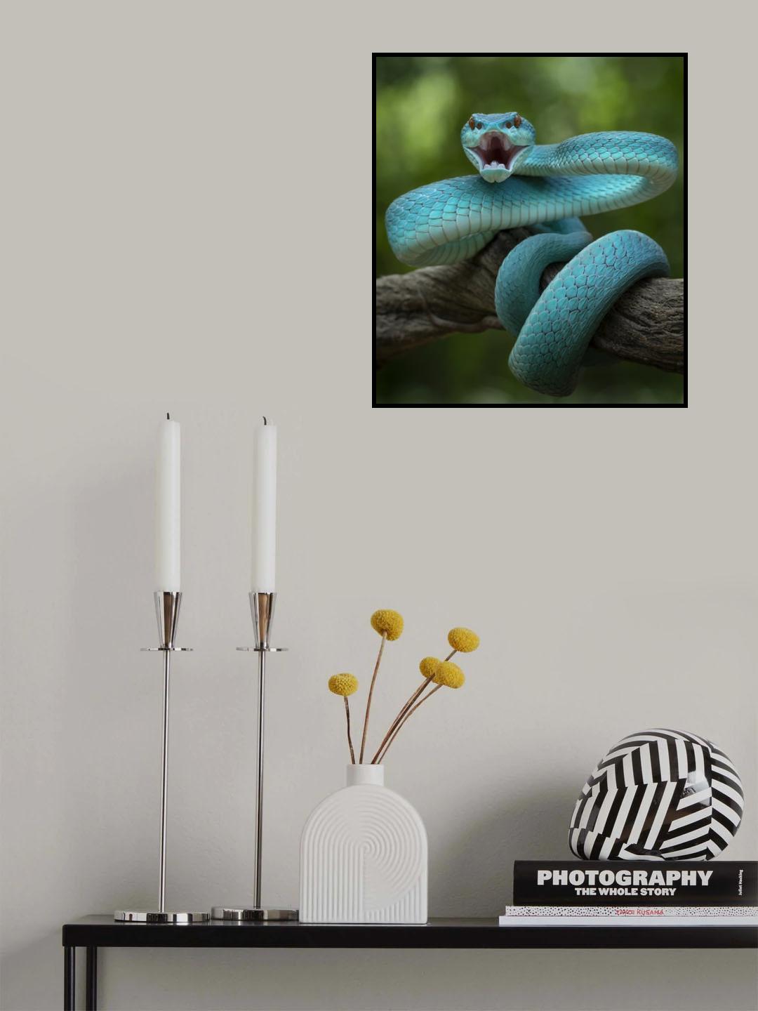 Angry Snake and Want To Bite Poster och Canvastavla