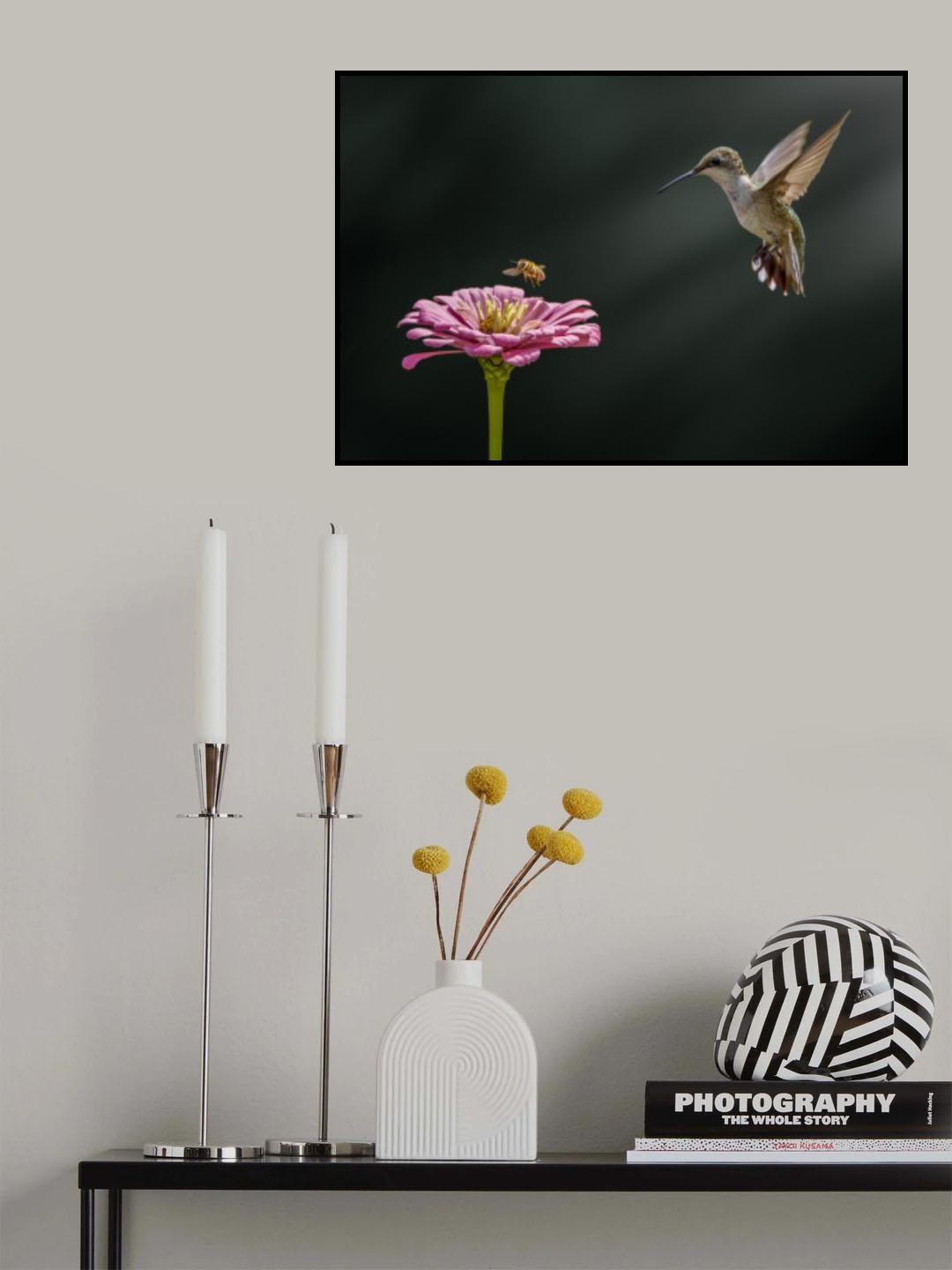 Hummingbird, bee, and flower Poster och Canvastavla